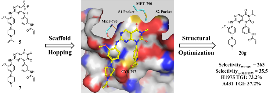 Design of Potent and Selective EGFR Inhibitors against L858R/T790M  Resistance Mutation